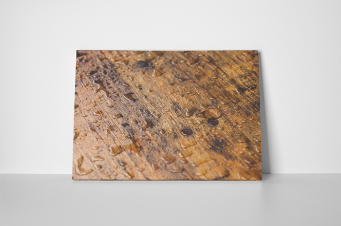 Tablou canvas : Podea umed [2]