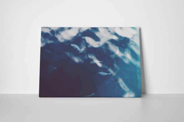 Tablou canvas : Pestisori [2]