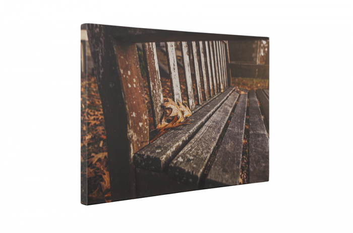 Tablou canvas : Toamna in parc [5]