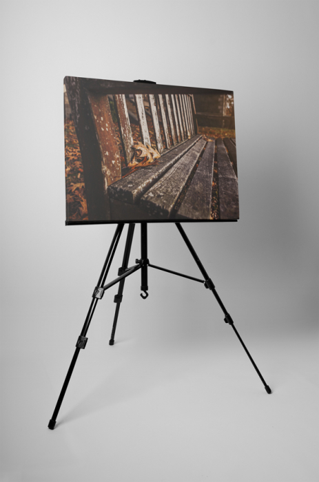 Tablou canvas : Toamna in parc [3]