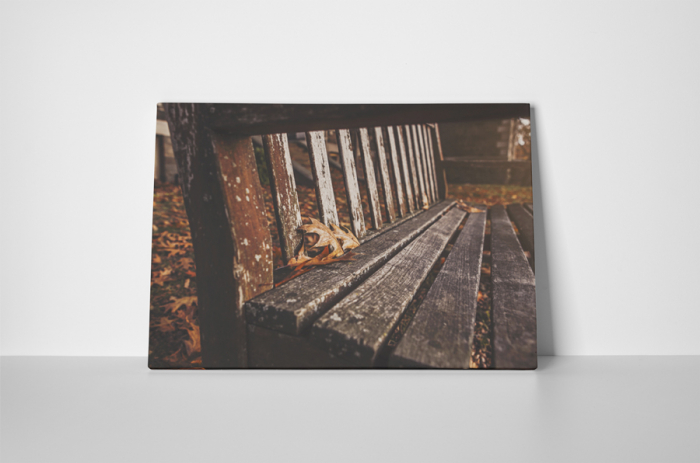 Tablou canvas : Toamna in parc [2]