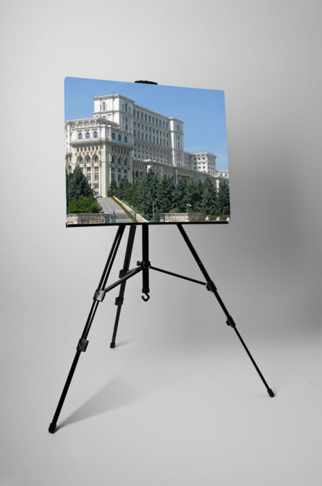 Tablou canvas : Palatul Parlamentului [3]