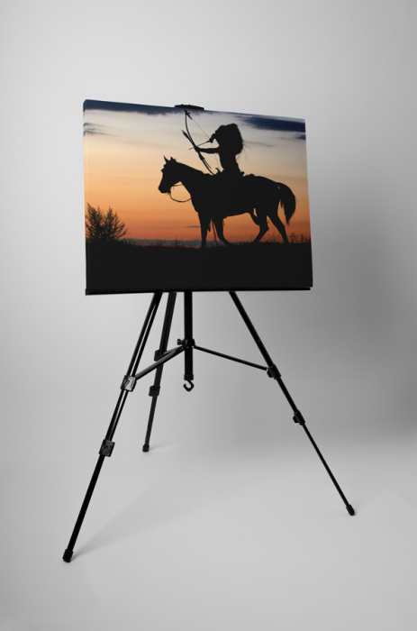 Tablou canvas : Indian [3]