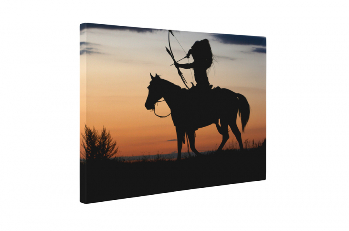 Tablou canvas : Indian [5]
