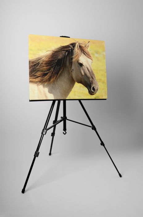 Tablou canvas : Armasar [3]