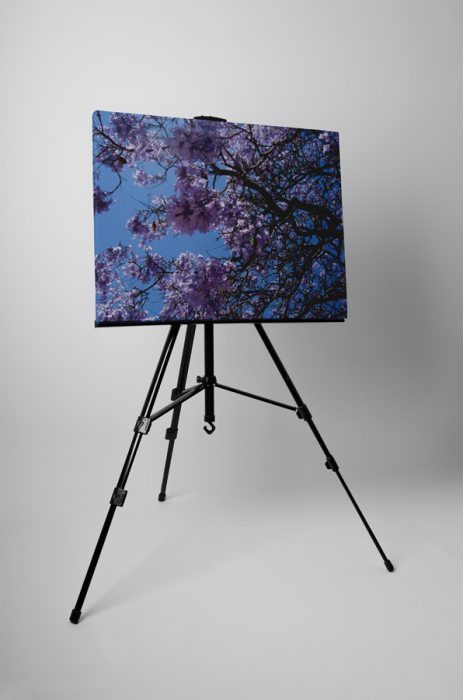 Tablou canvas : Floricele mov [3]