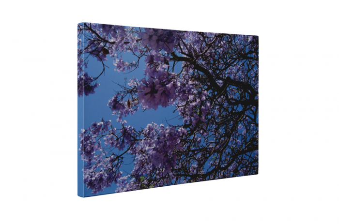 Tablou canvas : Floricele mov [5]