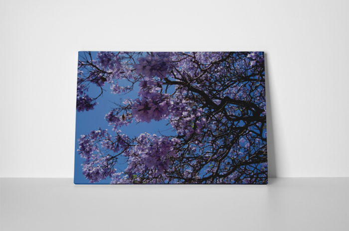 Tablou canvas : Floricele mov [2]