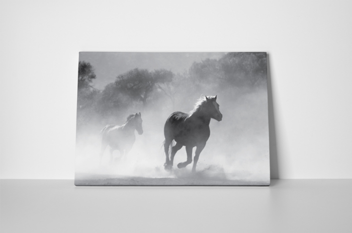 Tablou canvas : Armasari [2]