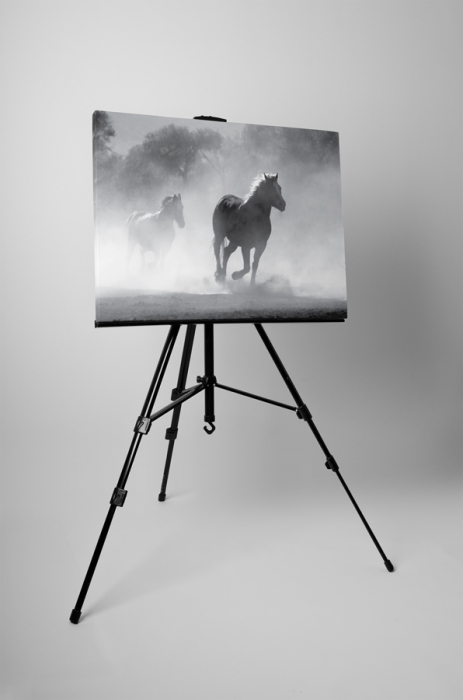 Tablou canvas : Armasari [3]