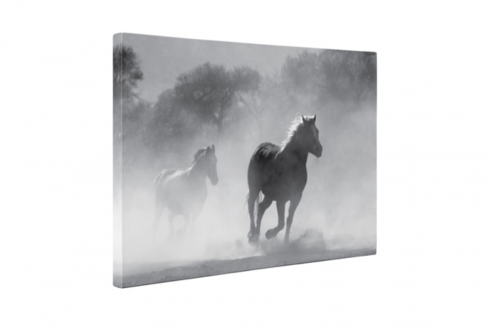 Tablou canvas : Armasari [5]