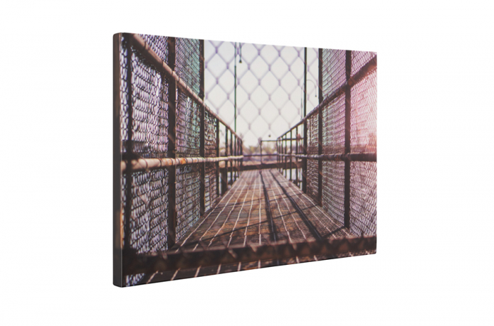 Tablou canvas : Ingradit [5]