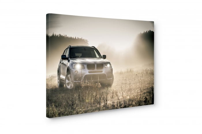 Tablou canvas : BMW pe teren [5]