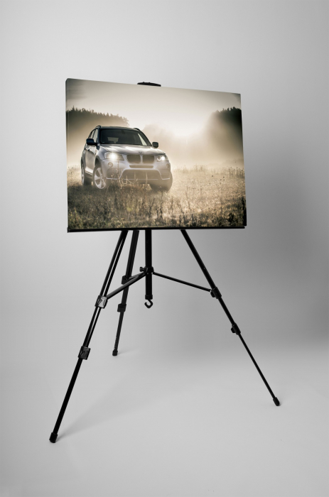 Tablou canvas : BMW pe teren [3]