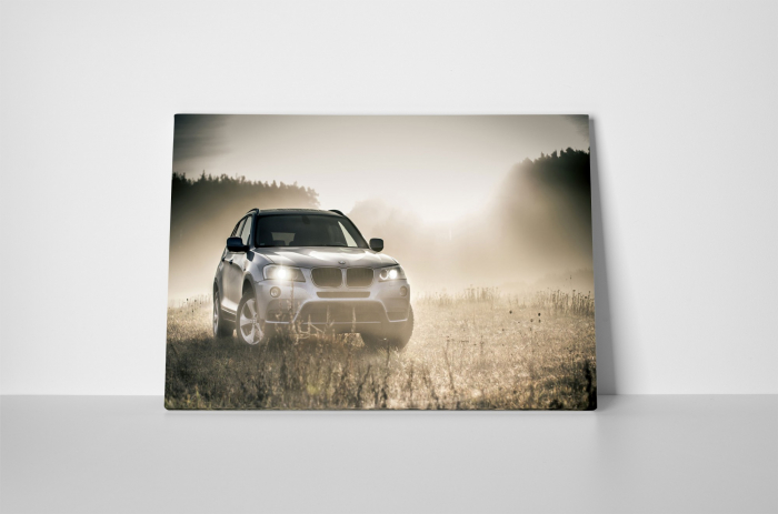 Tablou canvas : BMW pe teren [2]