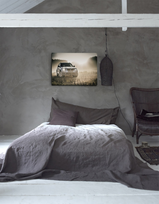 Tablou canvas : BMW pe teren [4]