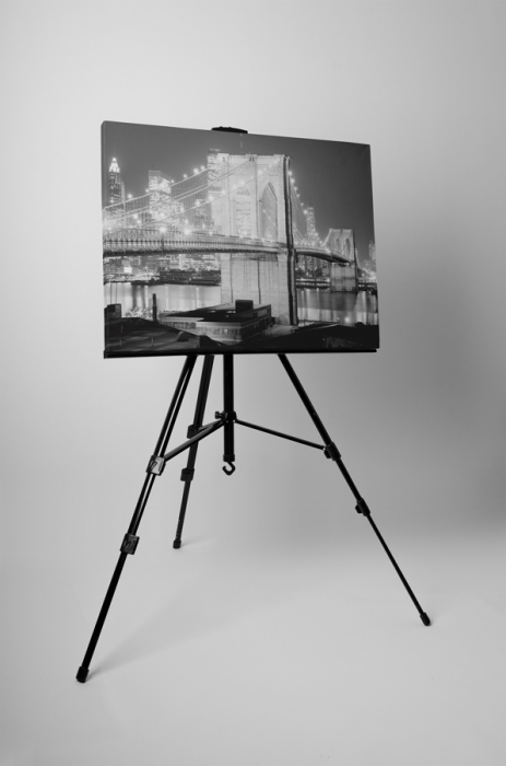 Tablou canvas : Pod in alb-negru [3]