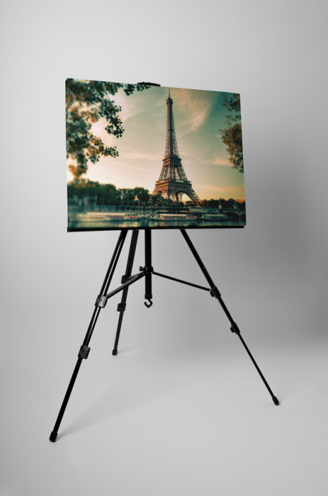 Tablou canvas : Turnul Eiffel [2]