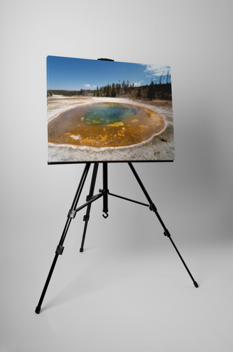 Tablou canvas : Gheizer [3]