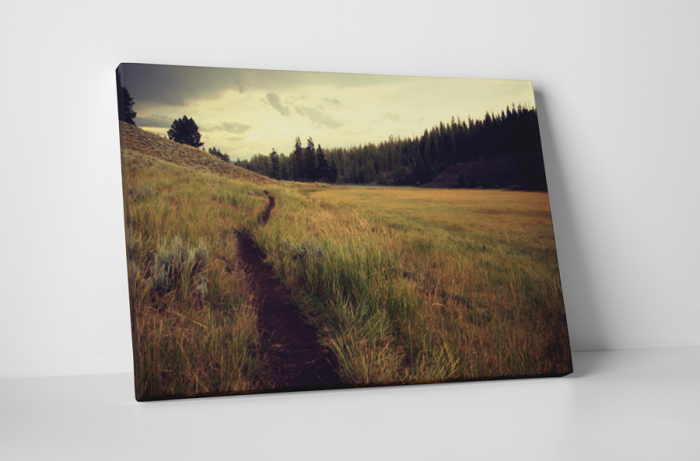 Tablou canvas : Carare pe camp [1]