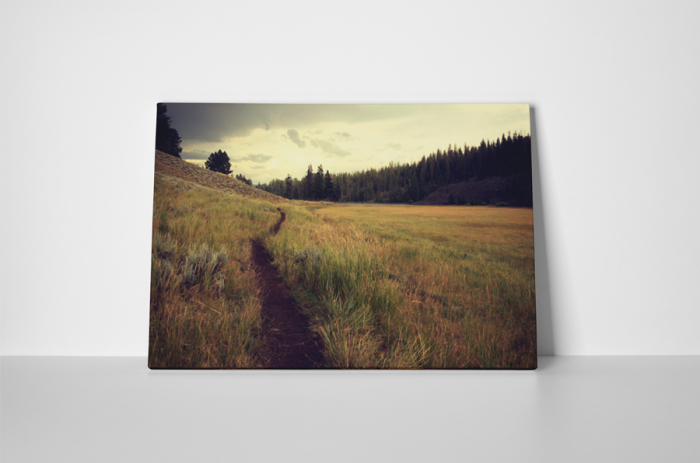Tablou canvas : Carare pe camp [2]