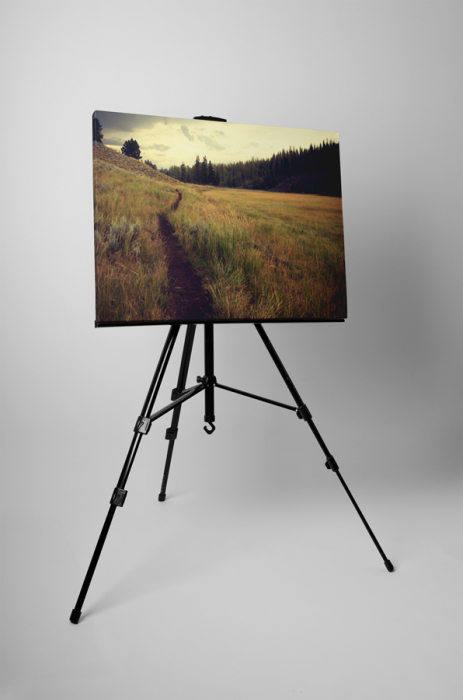 Tablou canvas : Carare pe camp [3]