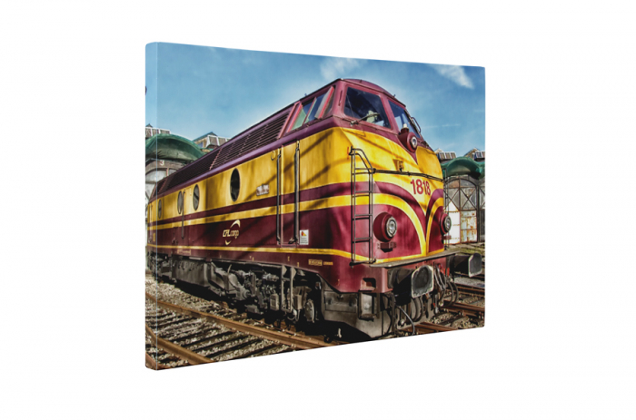 Tablou canvas : Locomotiva [5]