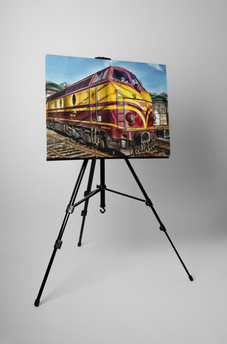 Tablou canvas : Locomotiva [3]
