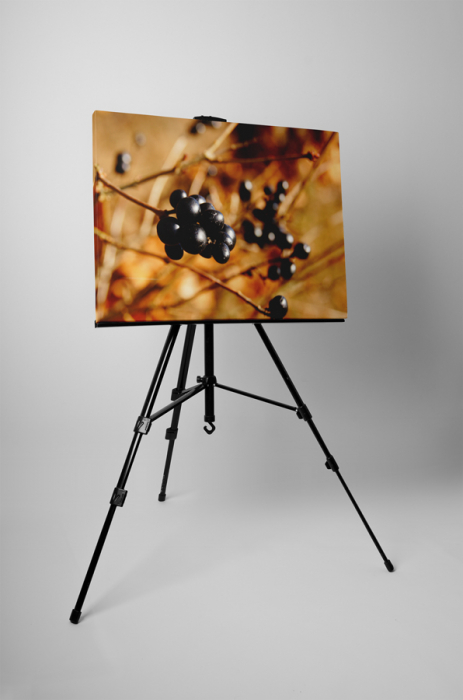 Tablou canvas : Coacaze negre [3]