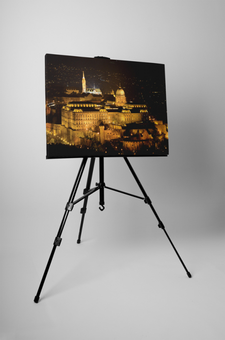 Tablou canvas : Budapesta [3]