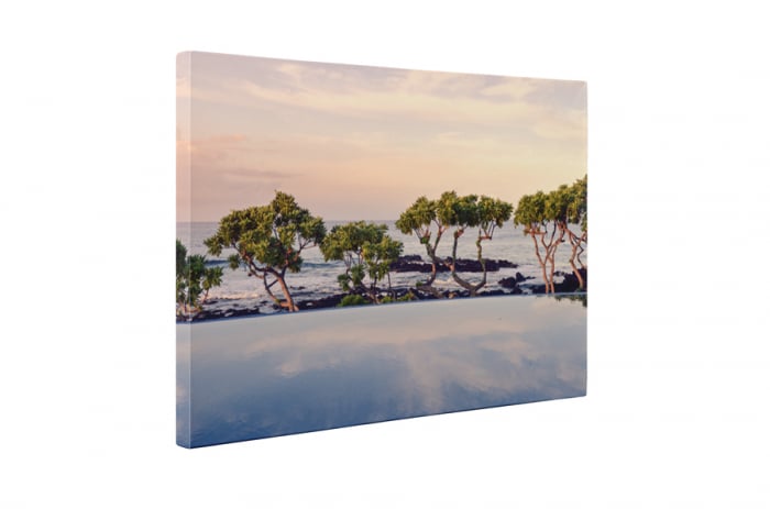 Tablou canvas : Copaci pe malul marii [5]