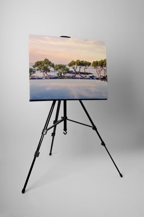 Tablou canvas : Copaci pe malul marii [3]