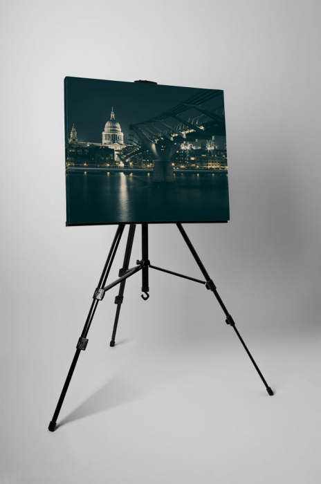 Tablou canvas : Podul Millennium [3]