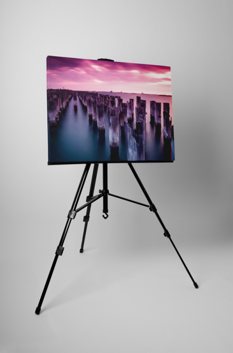 Tablou canvas : Stalpi in apa [3]