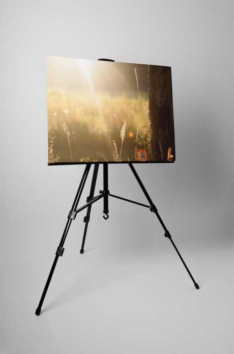 Tablou canvas : Campul umplut cu raze de soare [3]