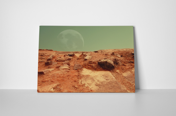 Tablou canvas : Solul rosu [2]