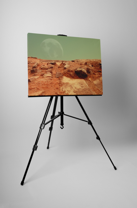 Tablou canvas : Solul rosu [3]