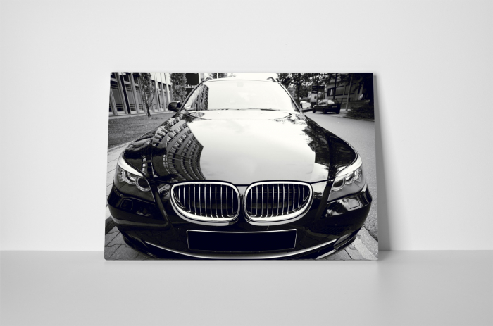 Tablou canvas : BMW stralucitor [2]