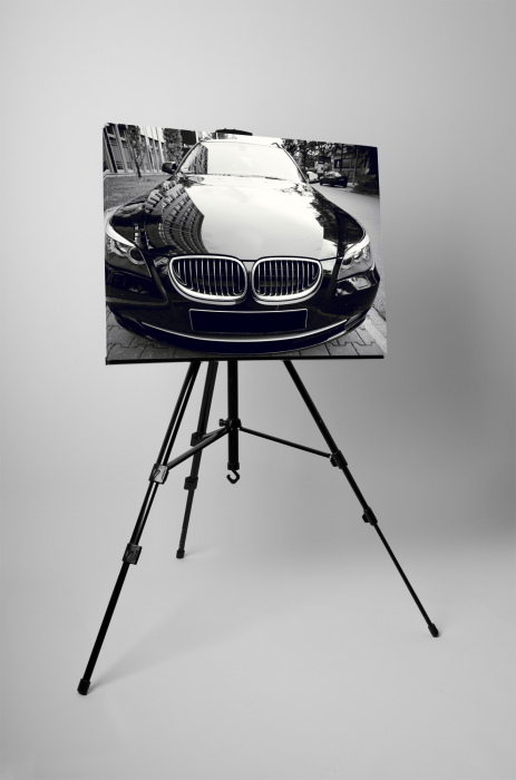 Tablou canvas : BMW stralucitor [3]