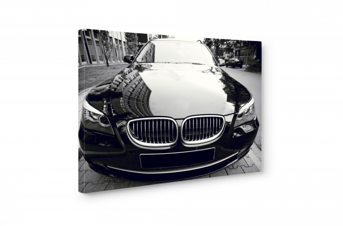 Tablou canvas : BMW stralucitor [5]