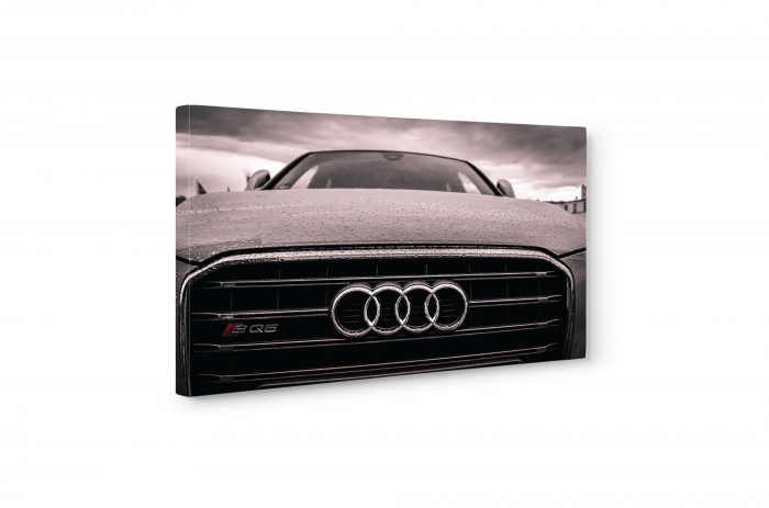 Tablou canvas : Patru inele [5]