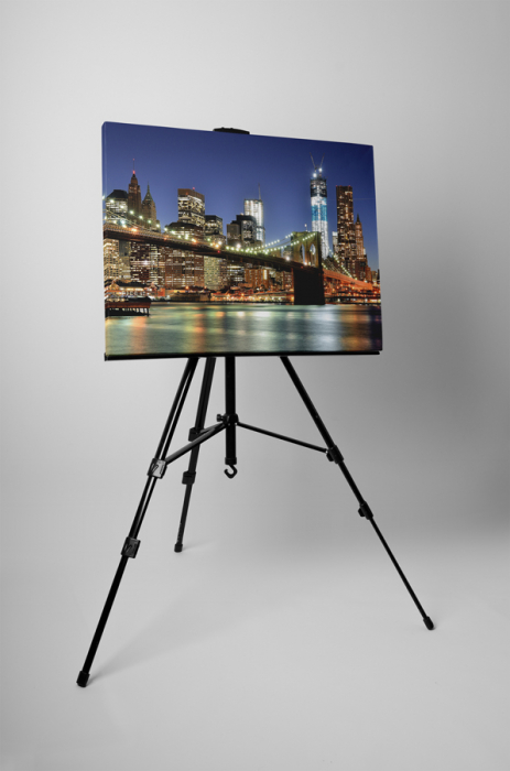 Tablou canvas : New York [2]