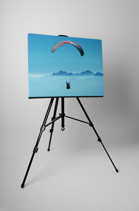 Tablou canvas : Parapanta [3]