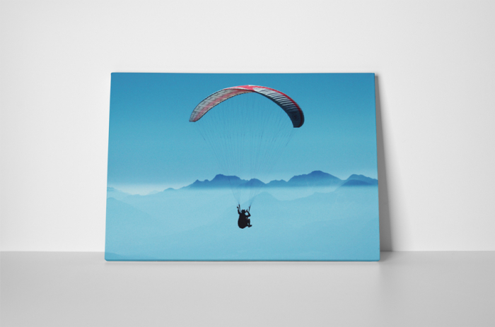 Tablou canvas : Parapanta [2]