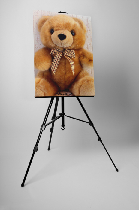 Tablou canvas : Ursulet [3]