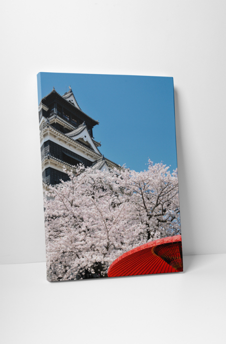 Tablou canvas : Cirese japoneze [1]