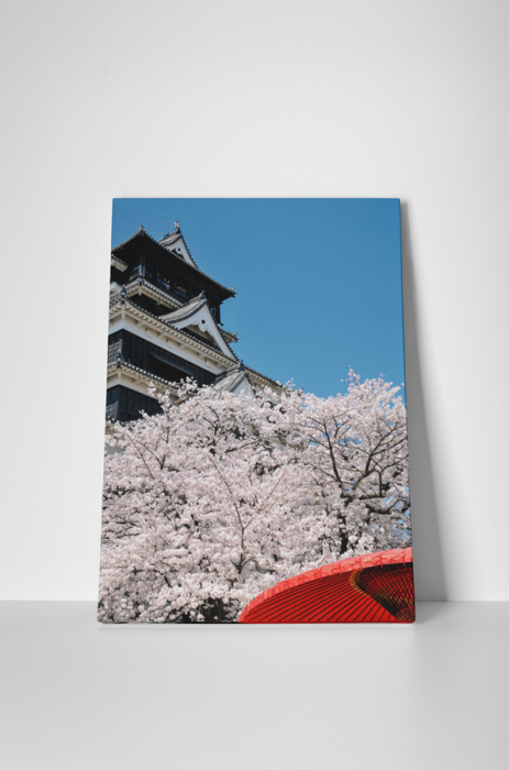 Tablou canvas : Cirese japoneze [2]