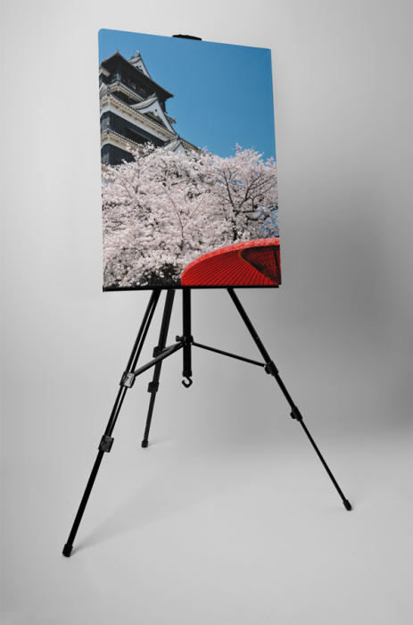 Tablou canvas : Cirese japoneze [3]