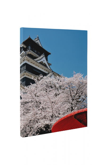 Tablou canvas : Cirese japoneze [5]