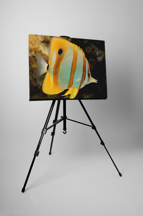 Tablou canvas : Pestisor [3]
